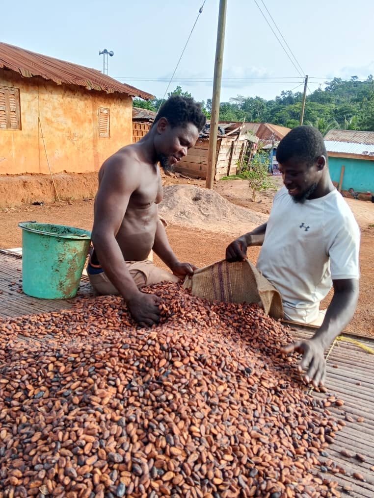 Agricultural certification