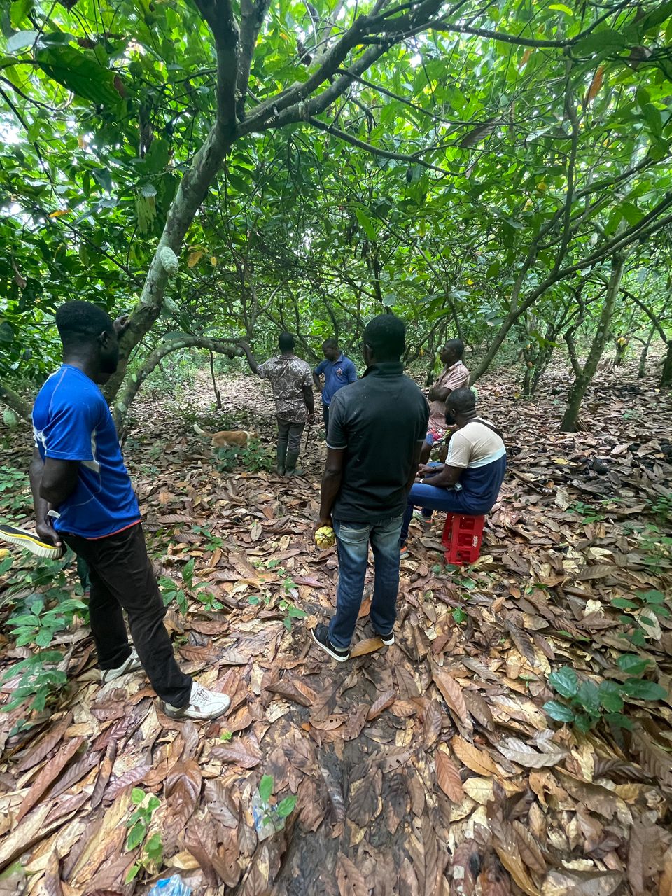Farmer with smartphone